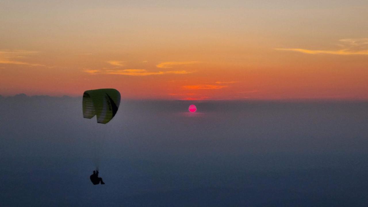 La Belle Histoire Gite Ventoux Bédoin Exterior foto